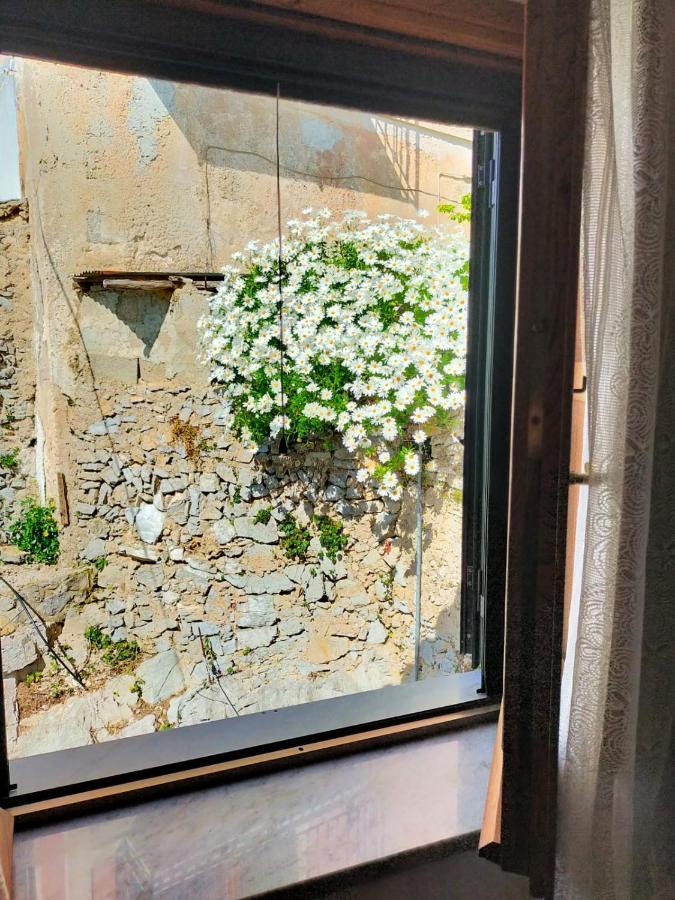 מינורי Casa Vacanze Nonno Aldo מראה חיצוני תמונה